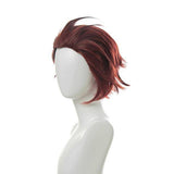 Cosplay Manga Pruik