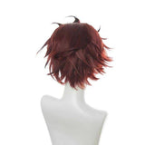 Cosplay Manga Pruik