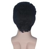 Freddy-Mercury Pruik