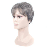 Grijze mannenpruik | Perruque-Club