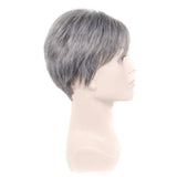 Grijze mannenpruik | Perruque-Club