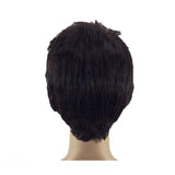 Mannenpruik kort zwart haar
