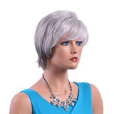 Grijze Korte Pruik | Perruque-Club