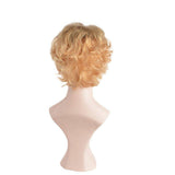 Grijze pruik kort haar | Perruque-Club