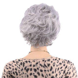 Grijze pruik kort haar | Perruque-Club