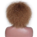 Afropruik voor dames | Perruque-Club