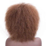 Afropruik voor dames | Perruque-Club