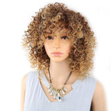 Afro Damespruik | Perruque-Club