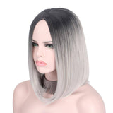 Zilveren Pruik | Perruque-Club