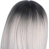 Zilveren Pruik | Perruque-Club