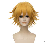 Wonderbaarlijke zwarte kattenpruik